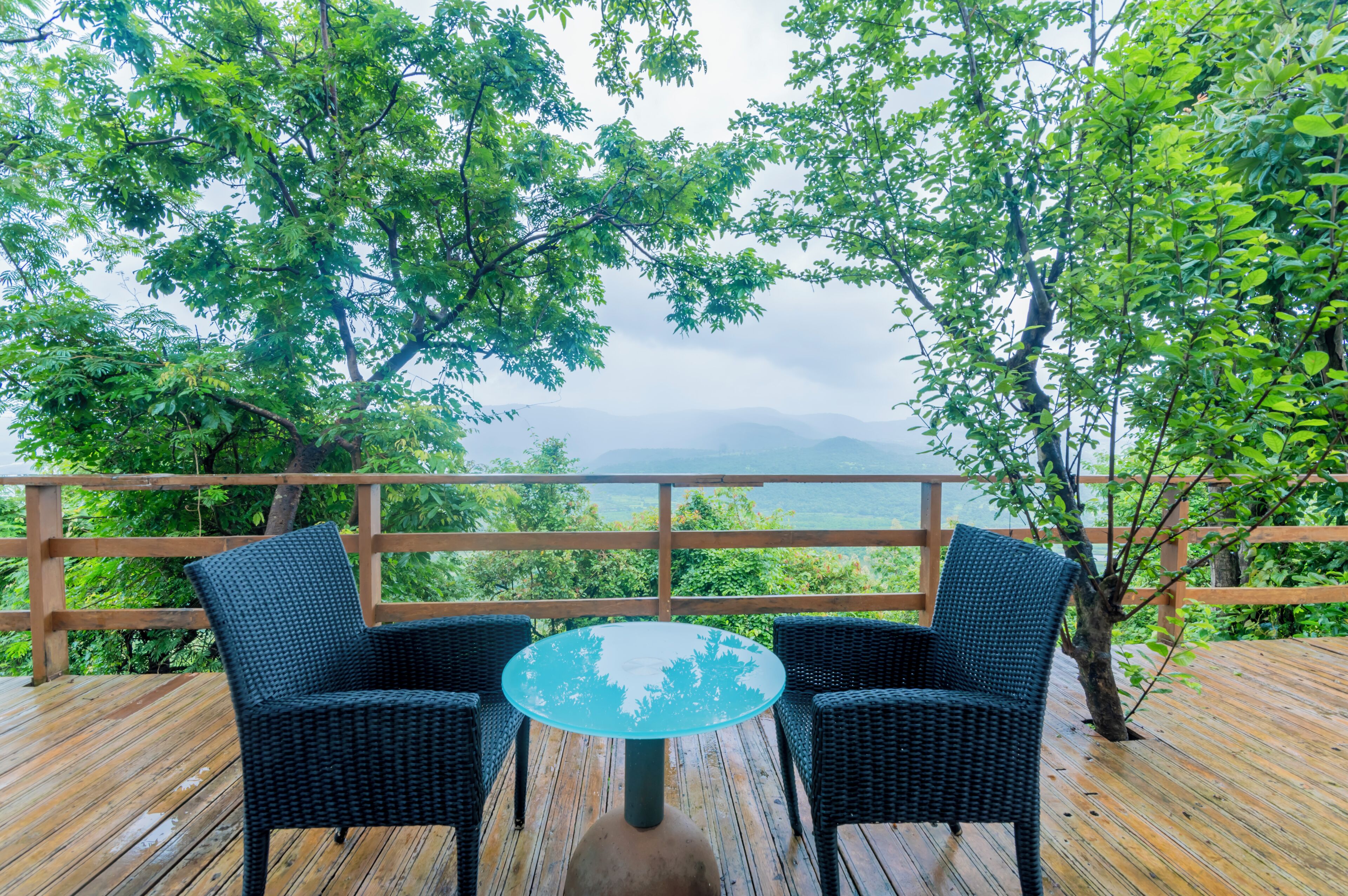 Casa de árbol junior | Vista a la playa o el mar