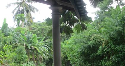 Dhanushka Guest House