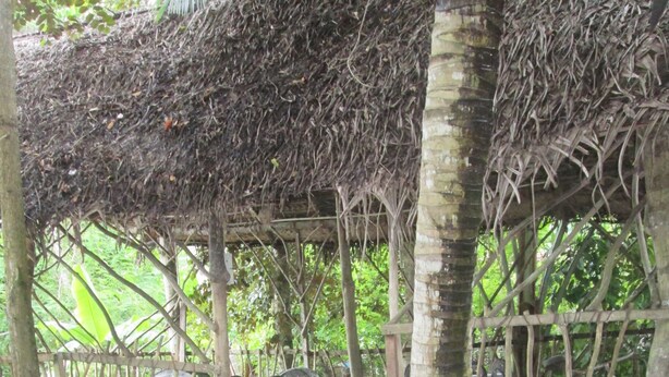 Un área de estar al aire libre cubierta con bancos de madera y plantas en macetas.