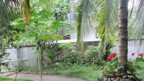 Un sendero de grava serpentea por un jardín exuberante con diversas plantas y una palmera.