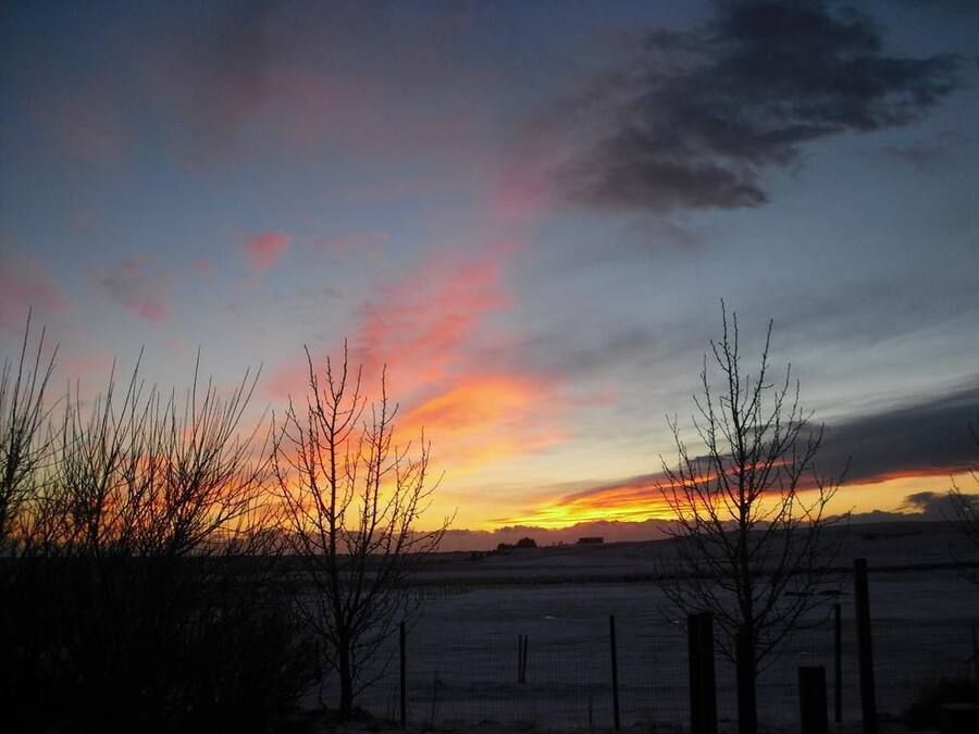 A sunset over a flat landscape with bare trees and a fence in the foreground.