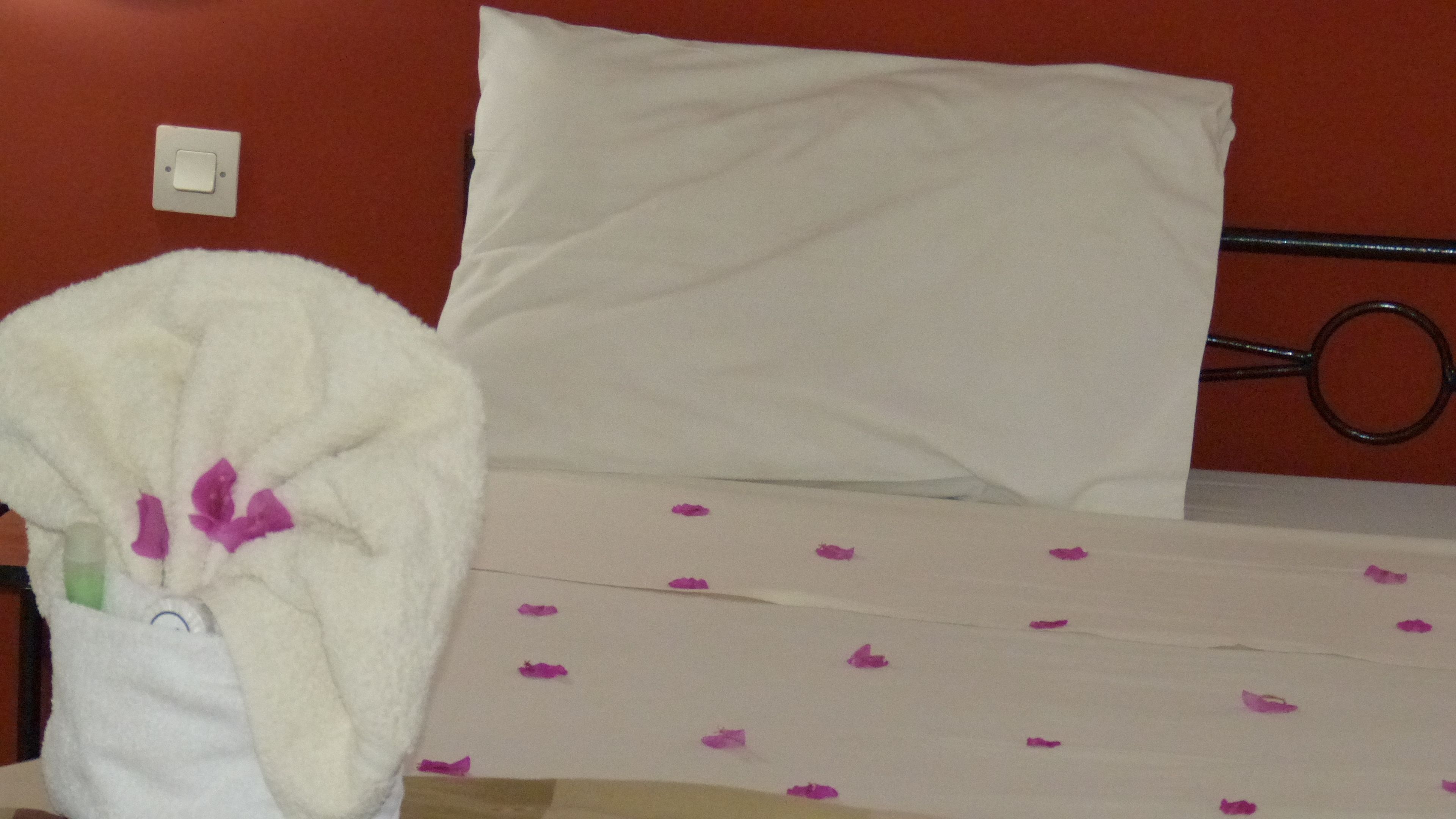 A bed with a white pillow and a white blanket with purple flower patterns.