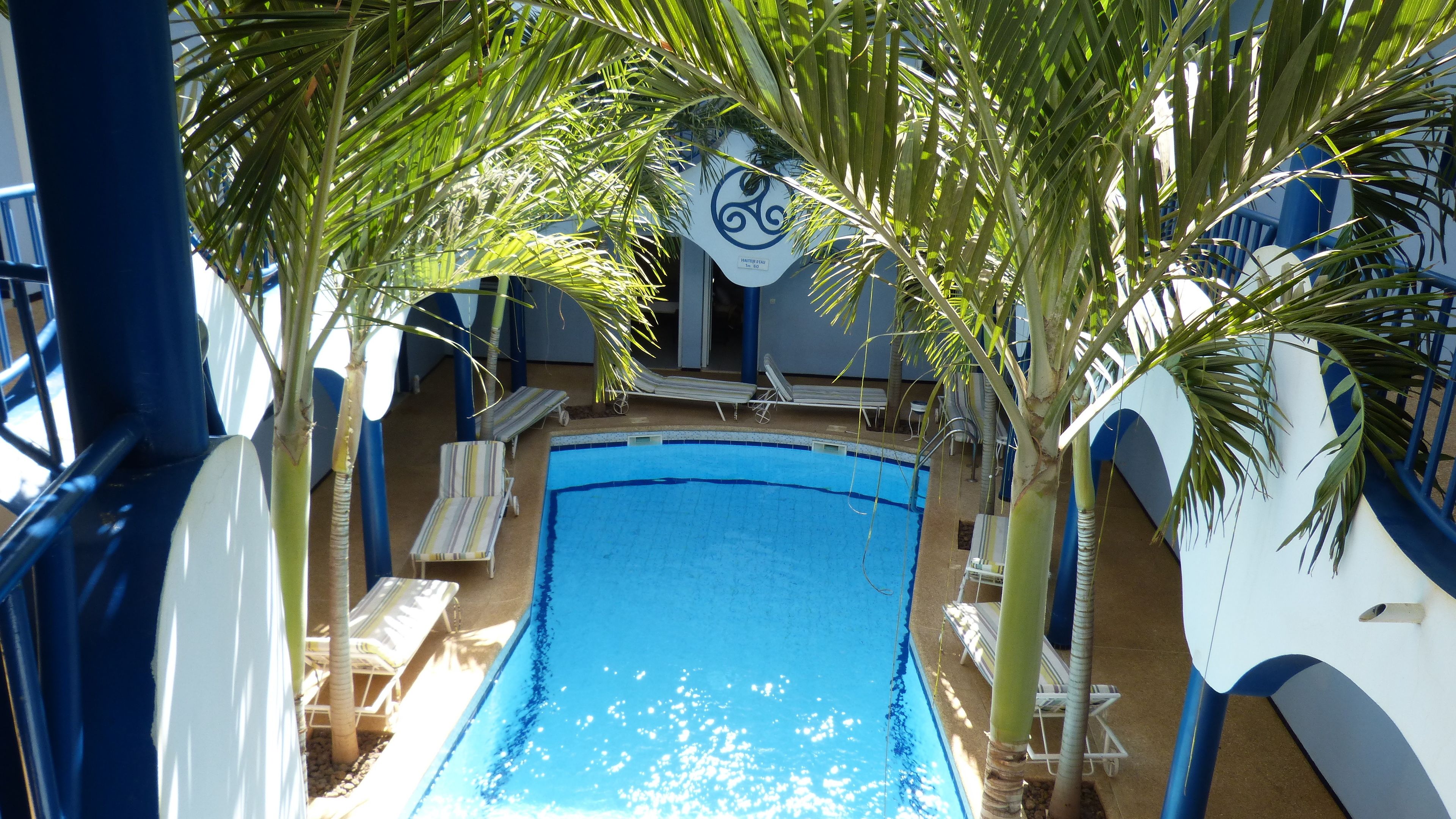 Un espace piscine avec des chaises longues et des palmiers.
