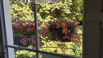 Vista desde la habitación