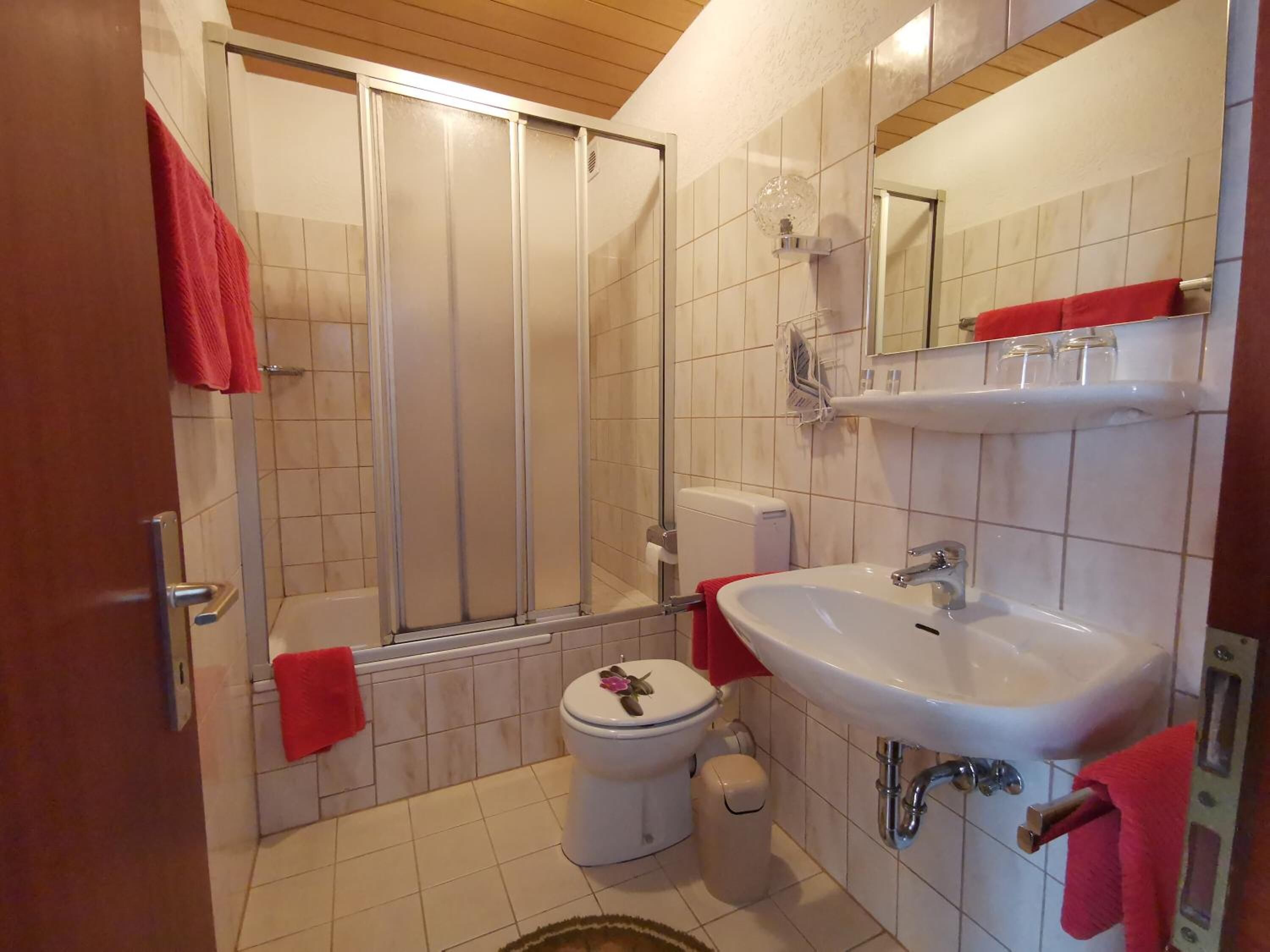 A bathroom with a shower, toilet, sink, and a mirror.