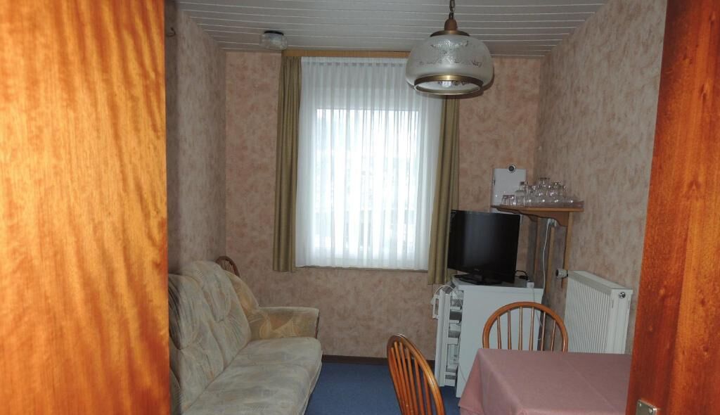 Ein gemütlicher Raum mit einer Schlafcouch, einem Fernseher, einem kleinen Tisch und einem Fenster mit Vorhängen.