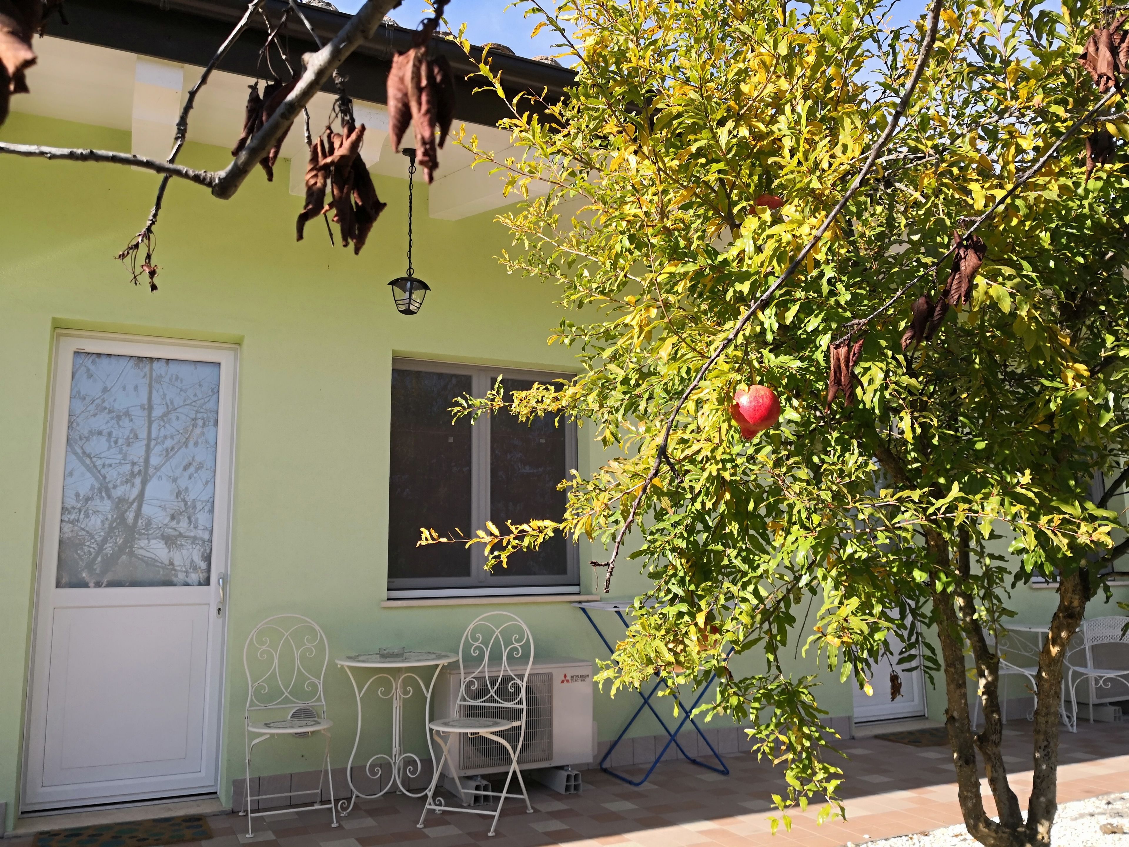 A green building with a door, windows, and outdoor seating.