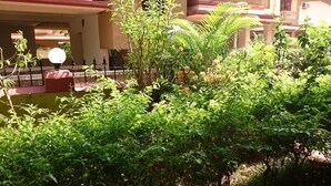 Un jardin luxuriant, agrémenté de diverses plantes et d’un petit élément décoratif aquatique.