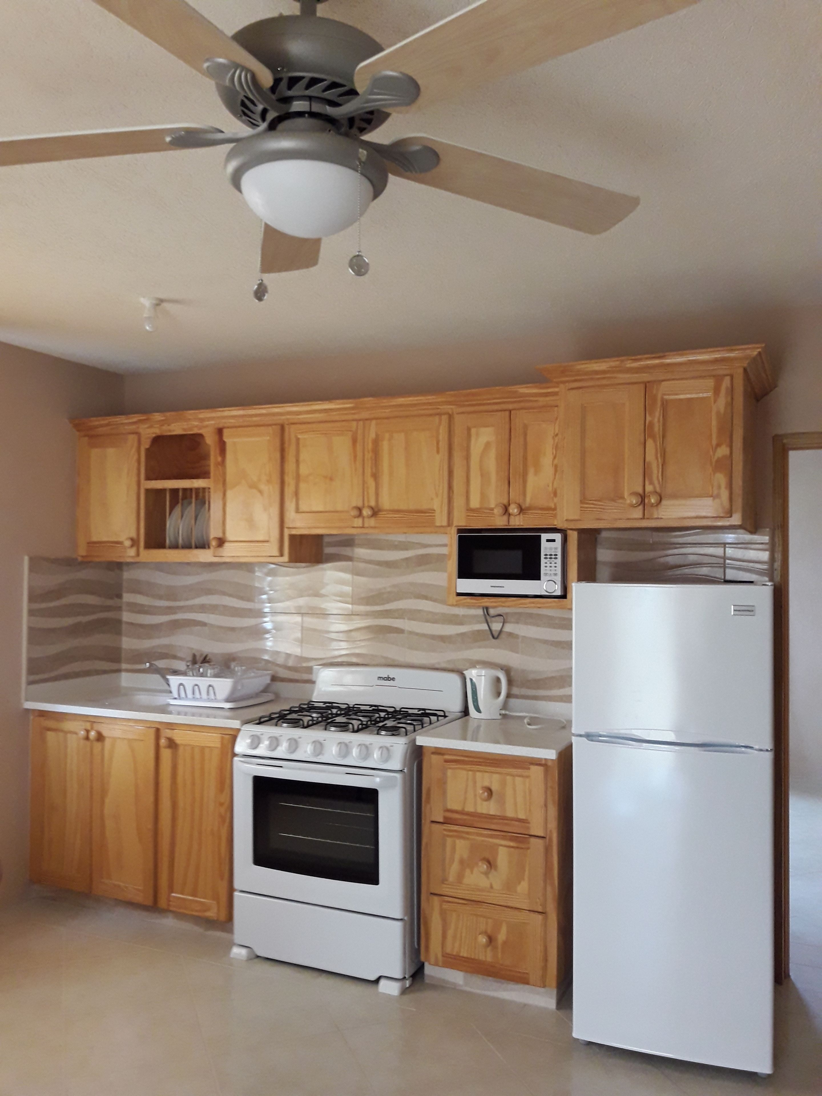 Basic Apartment, 1 Queen Bed, Non Smoking | Private kitchen | Fridge, microwave, oven, stovetop