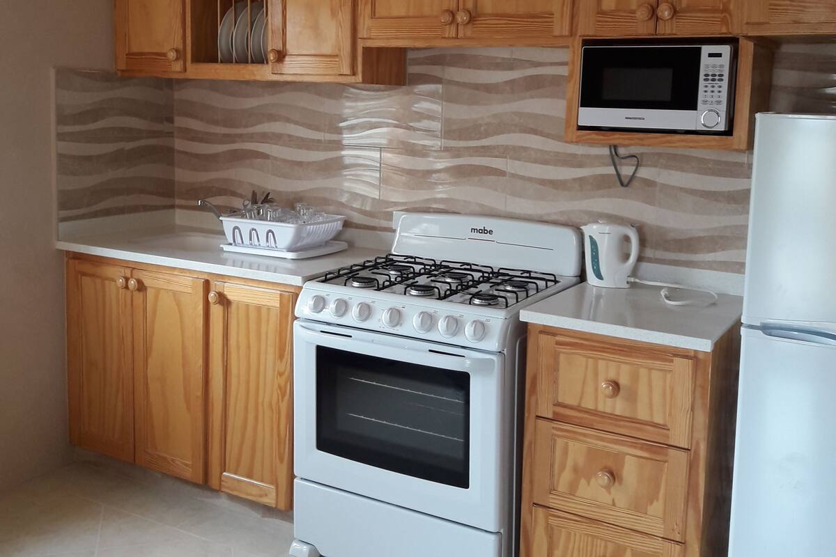 basic apartment, 1 queen bed, non smoking | private kitchen | fridge, microwave, oven, stovetop