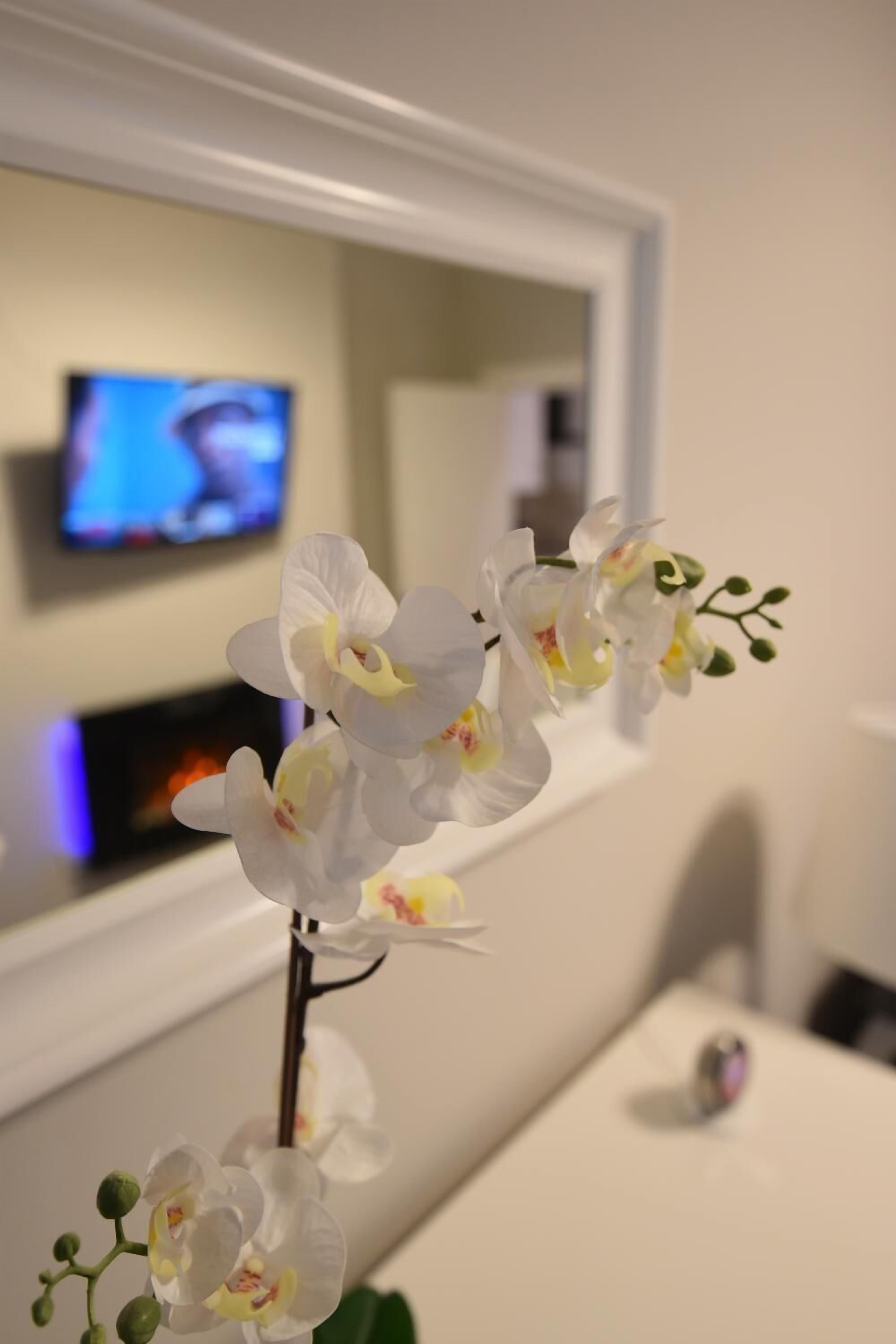 Une orchidée blanche dans une pièce où l’on aperçoit un téléviseur au fond.