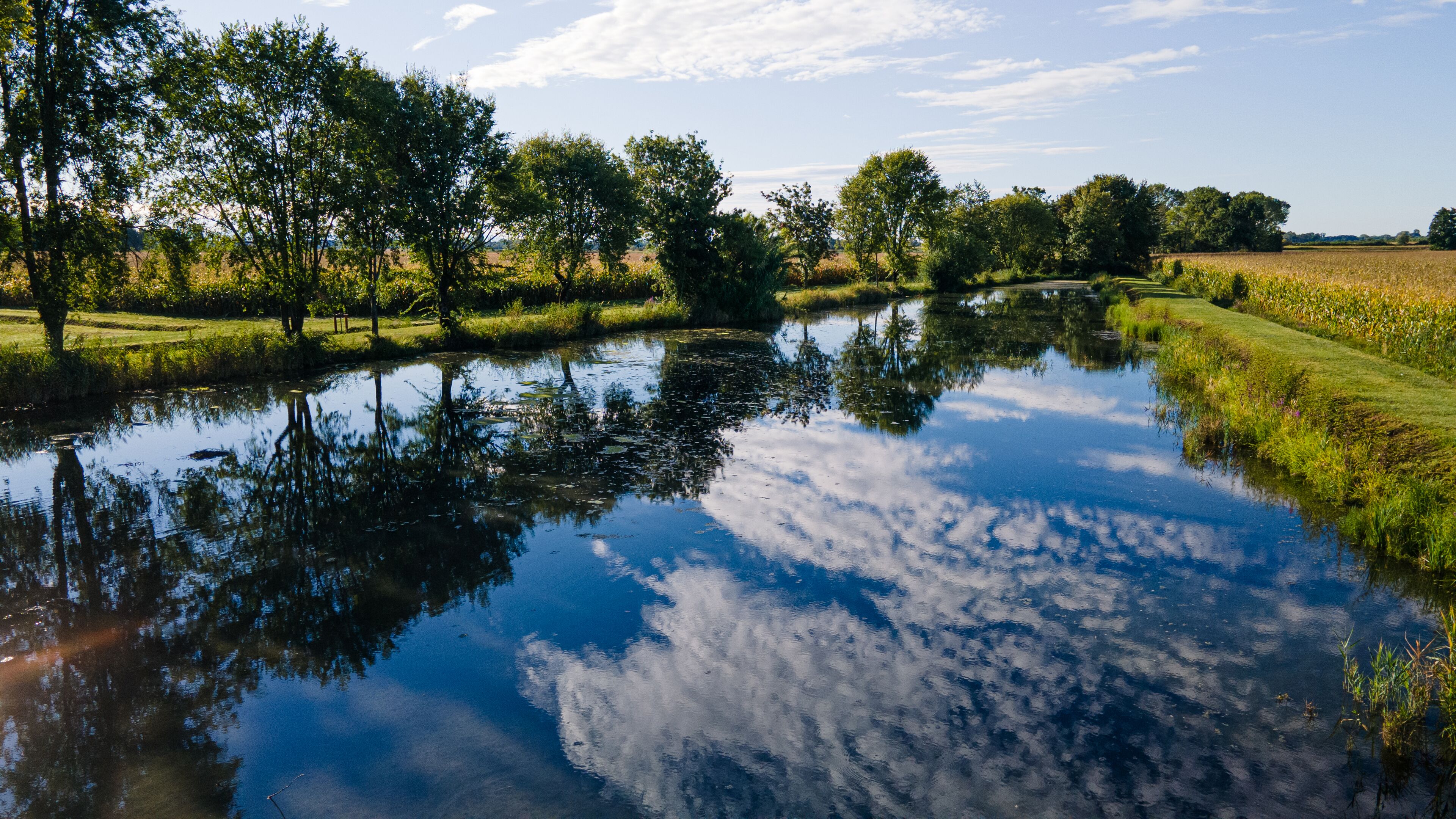 Un río tranquilo que refleja árboles y un cielo despejado.