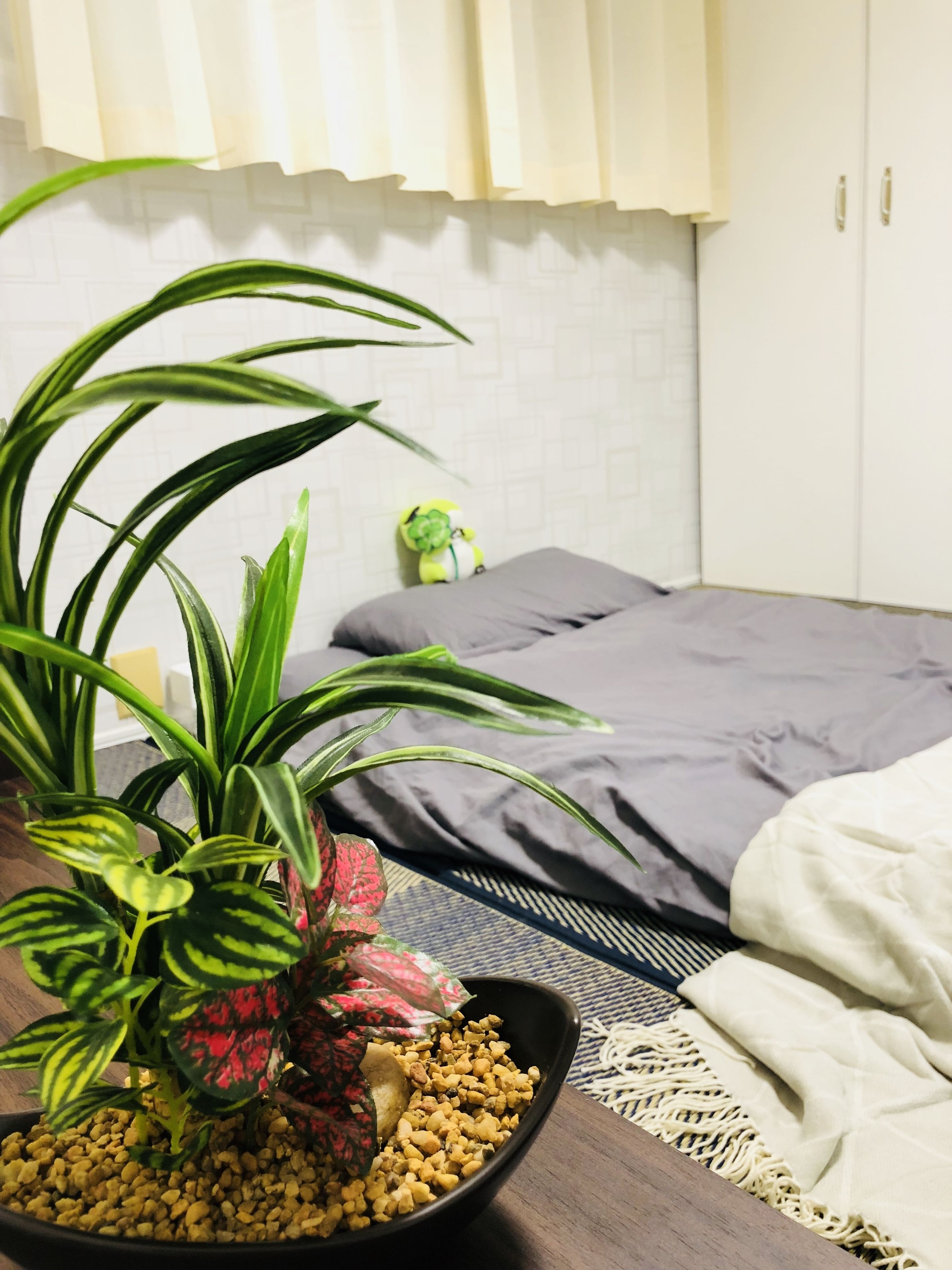 A room with a bed, a potted plant, and a small table with a bowl of pebbles.