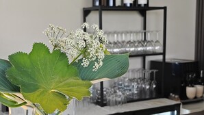 Een houten barkruk met een smartphone waarop de Ancon app staat, een vaas met groene bladeren en witte bloemen, en een wijnrek op de achtergrond.