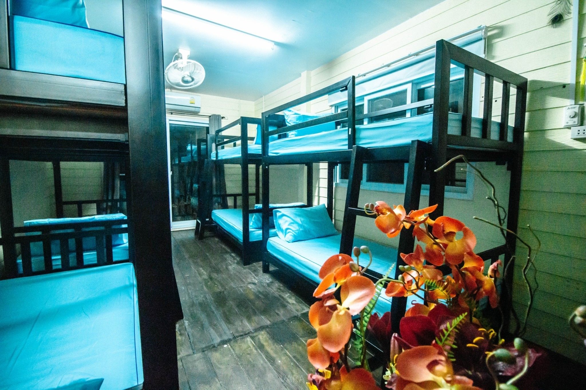 Family Room | Free WiFi