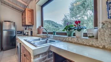 Full-sized fridge, microwave, oven, stovetop