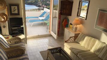 Televisie, een dvd-speler, boeken en een filmbibliotheek