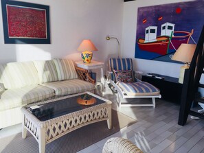 TV, DVD player, books, video library