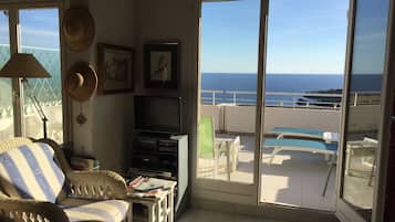 Televisie, een dvd-speler, boeken en een filmbibliotheek