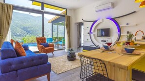 Biệt thự, 1 phòng ngủ | Khu phòng khách | TV plasma 