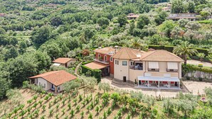 Una villa con un patio amplio, rodeada de viñedos exuberantes y un paisaje montañoso.