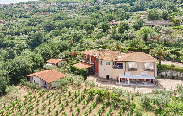 A villa with a spacious patio, surrounded by lush vineyards and a hilly landscape. - Resindence Villarosi with swimming pool between vineyards and relaxation (Laureana Cilento)