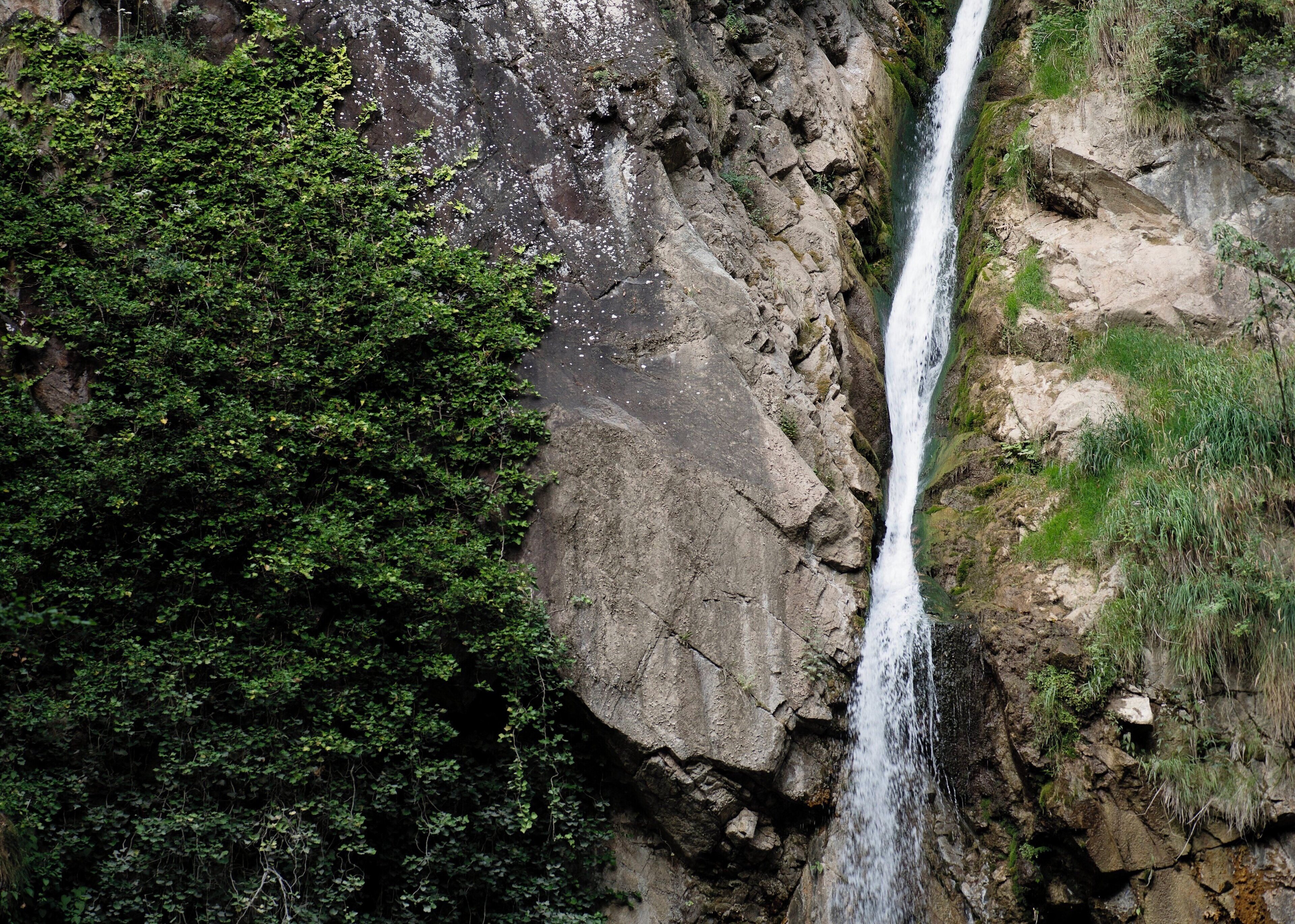 Una cascada se precipita por un acantilado rocoso rodeado de follaje verde y abundante.
