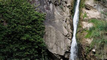 Una cascada se precipita por un acantilado rocoso rodeado de follaje verde y abundante.