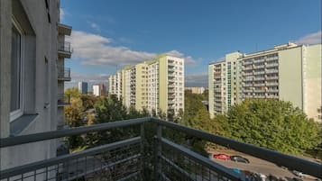 Economy Apartment | View from room