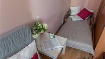 Economy Apartment | Iron/ironing board, free WiFi
