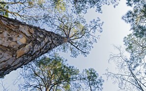 Front of property - Test (Région Test)