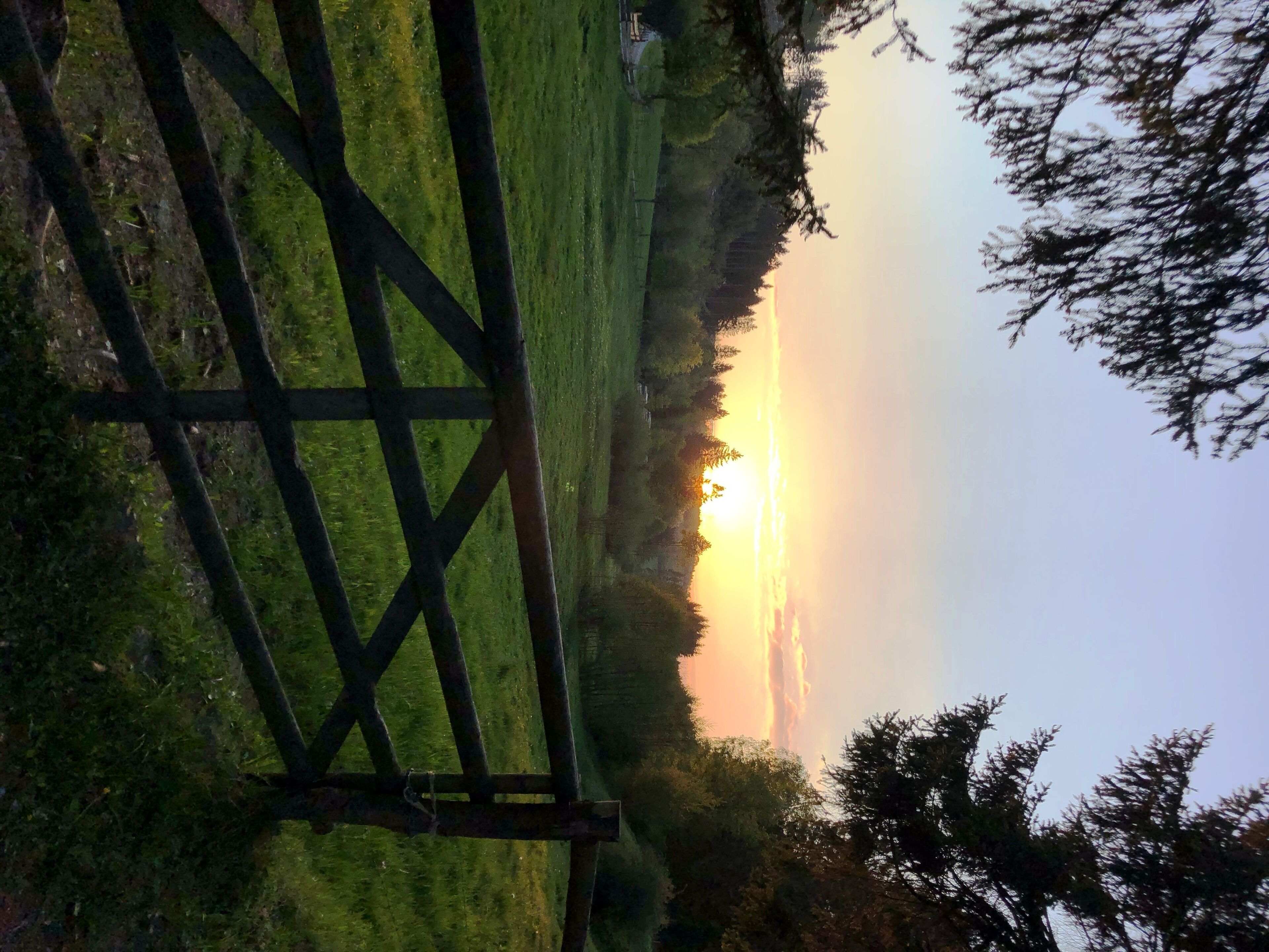 Een landelijk landschap met een houten poort, open velden en bomen.