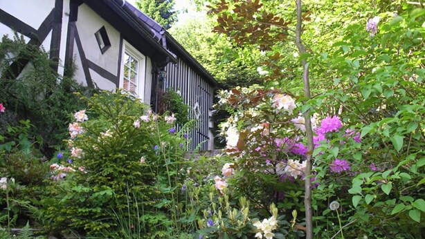 Tuin