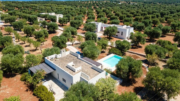 An aerial view of a residential area with multiple white buildings, a swimming pool, and a dense olive grove.