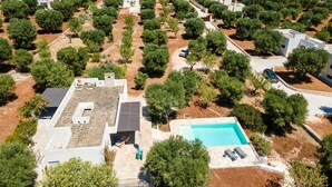 A residential area with solar panels, olive groves, and a swimming pool.