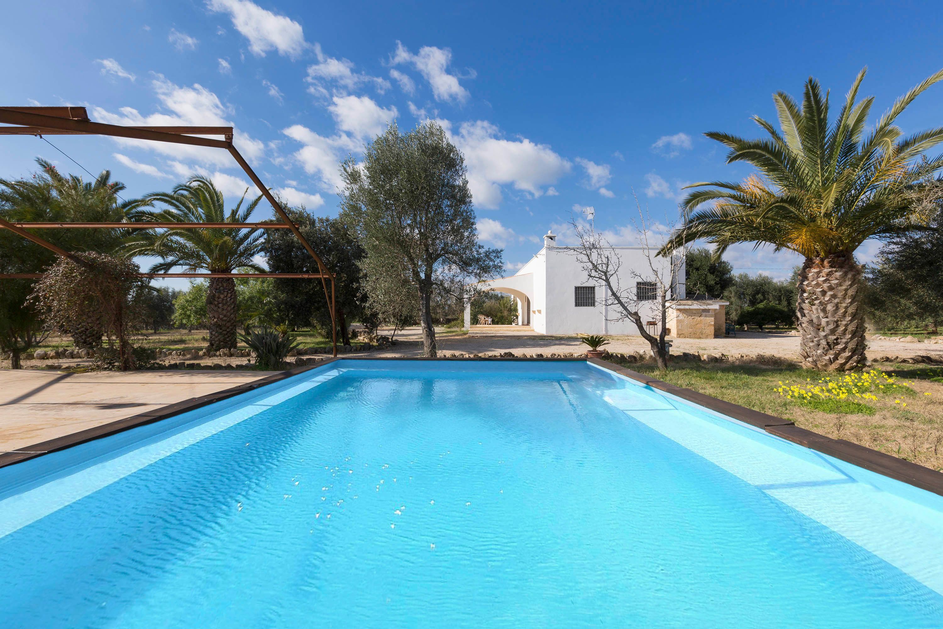 A rectangular swimming pool with clear blue water, surrounded by palm trees and a white building in the background.
