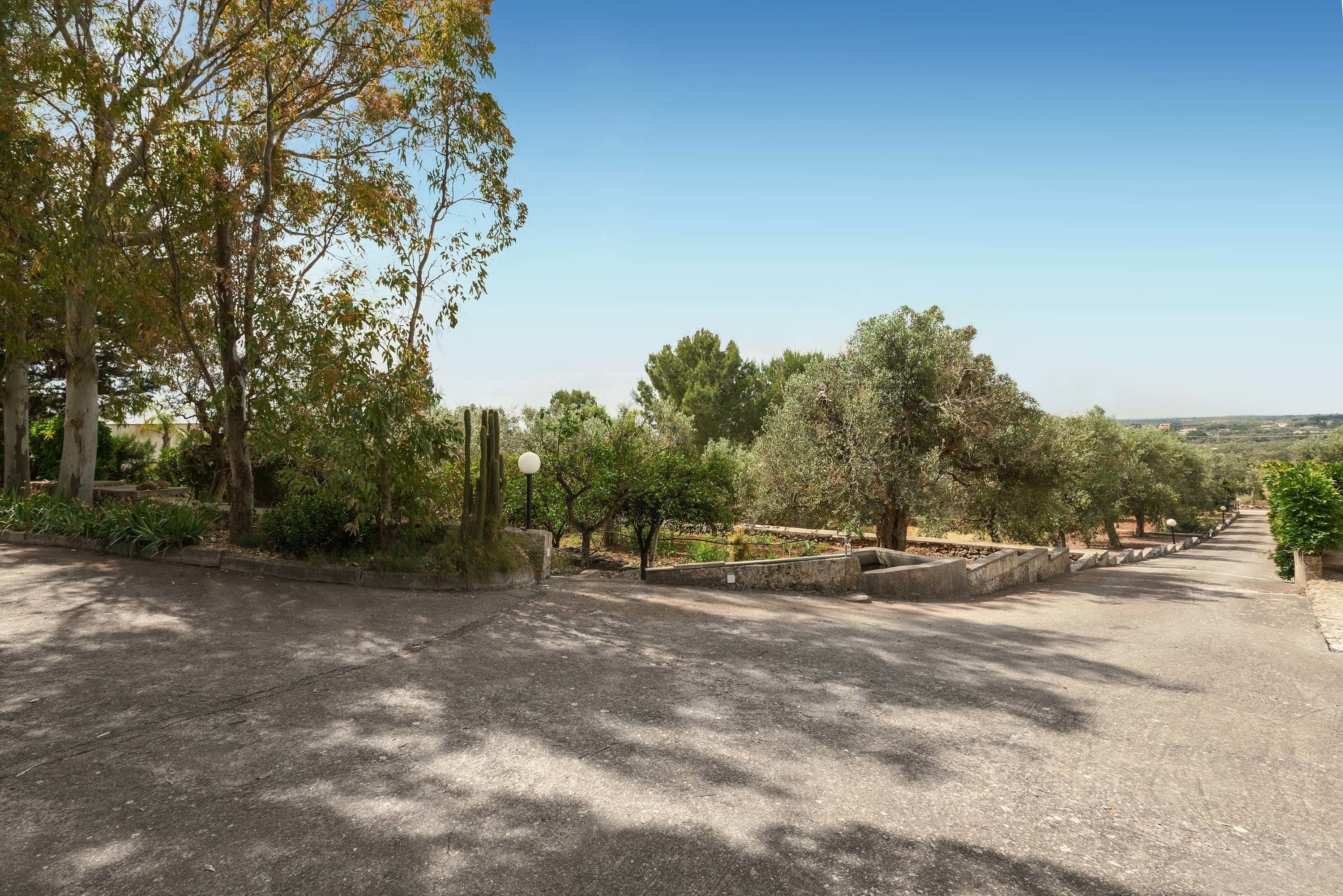 Un sendero pavimentado bordeado de árboles y arbustos, que lleva a una vista distante del paisaje.