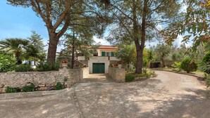 A paved driveway leading to a building with a green door, surrounded by trees and plants. - Villa Marù (Taurisano)