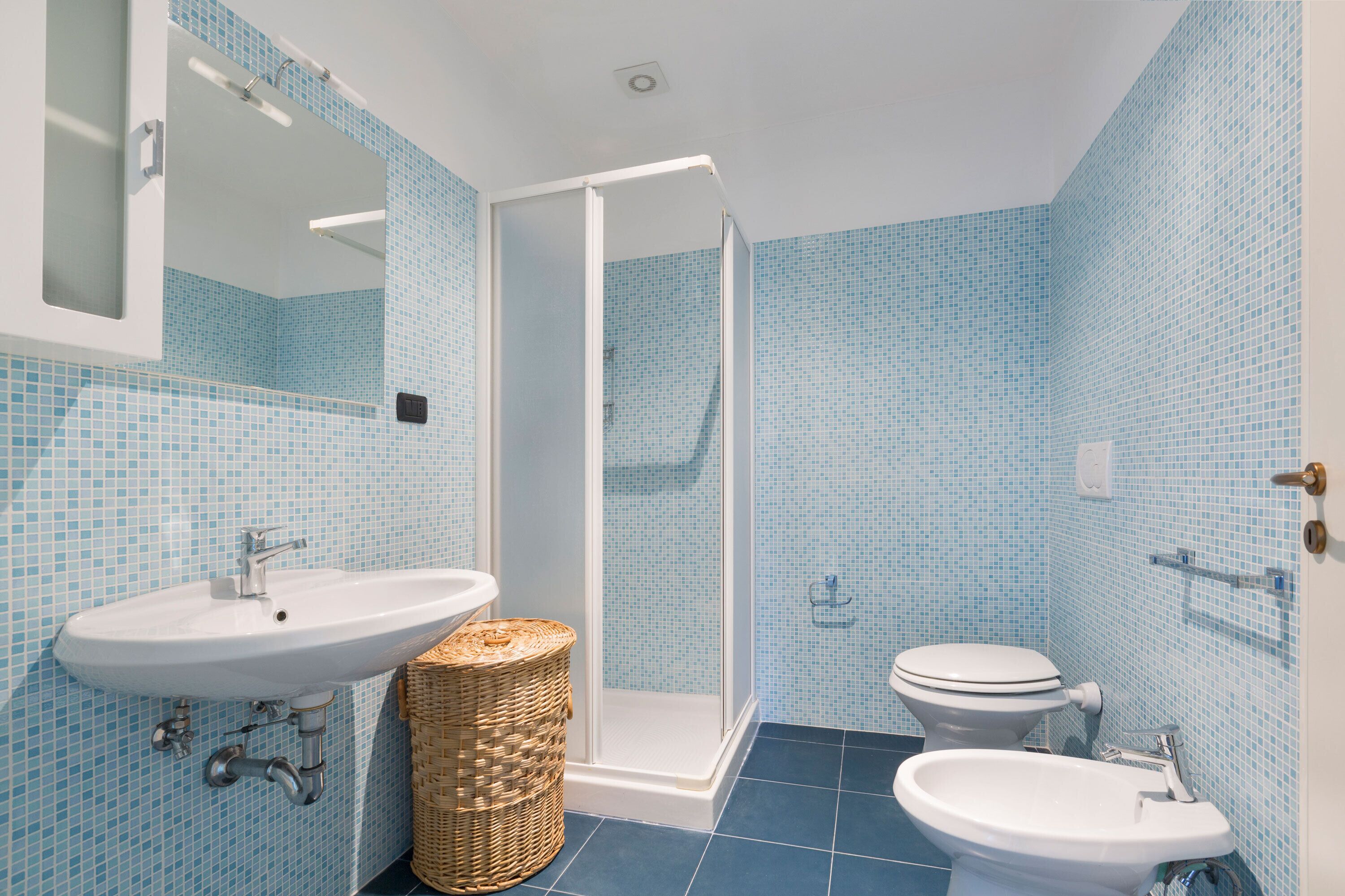 Une salle de bain avec un lavabo, des toilettes et une douche.