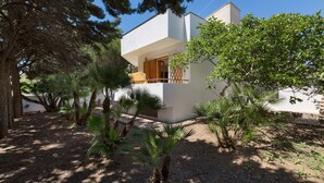 Une maison moderne à deux étages, dotée d’un balcon, entourée d’un jardin planté de palmiers et d’un grand arbre.