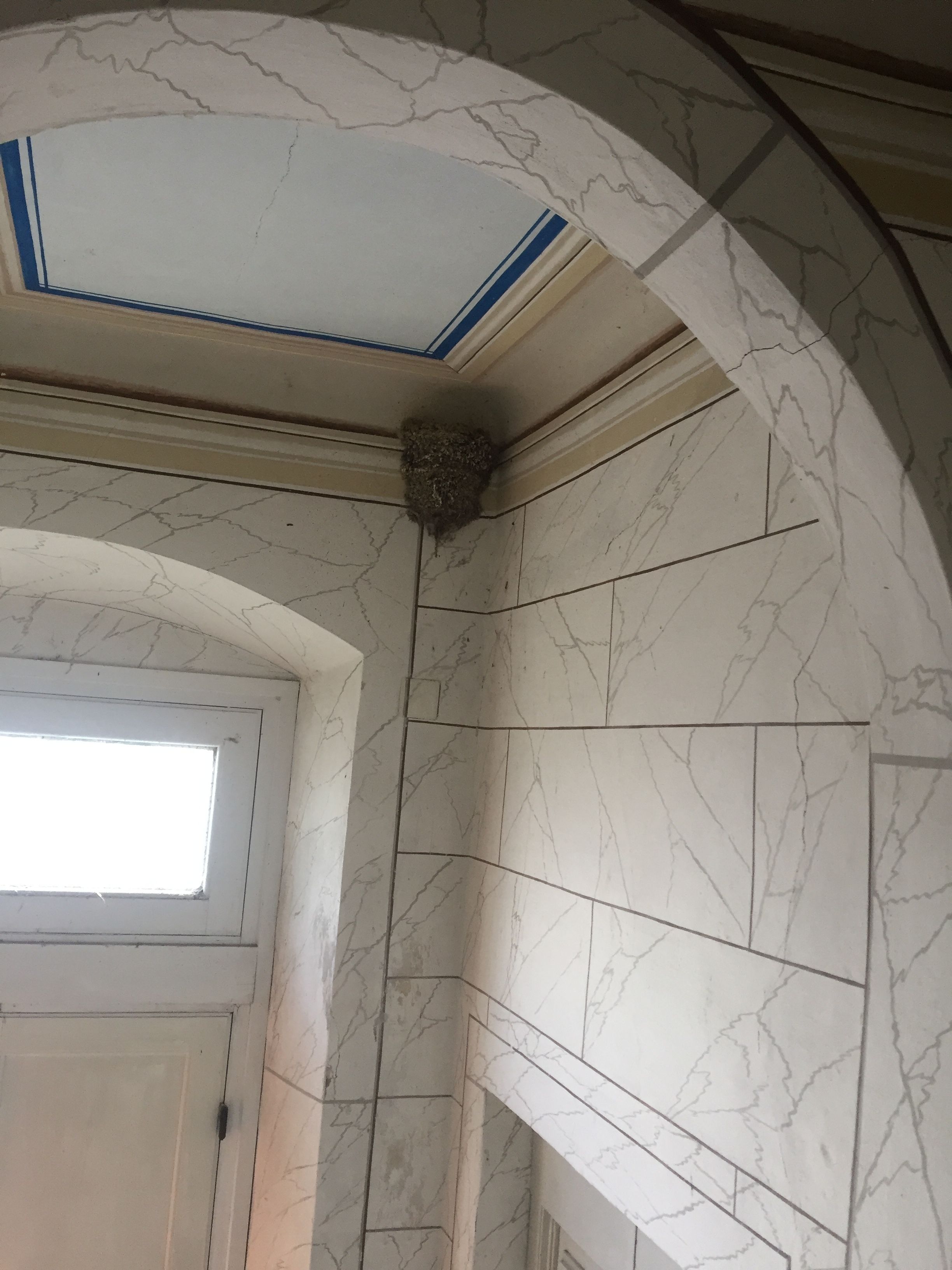 Foto - Villa Eugenia