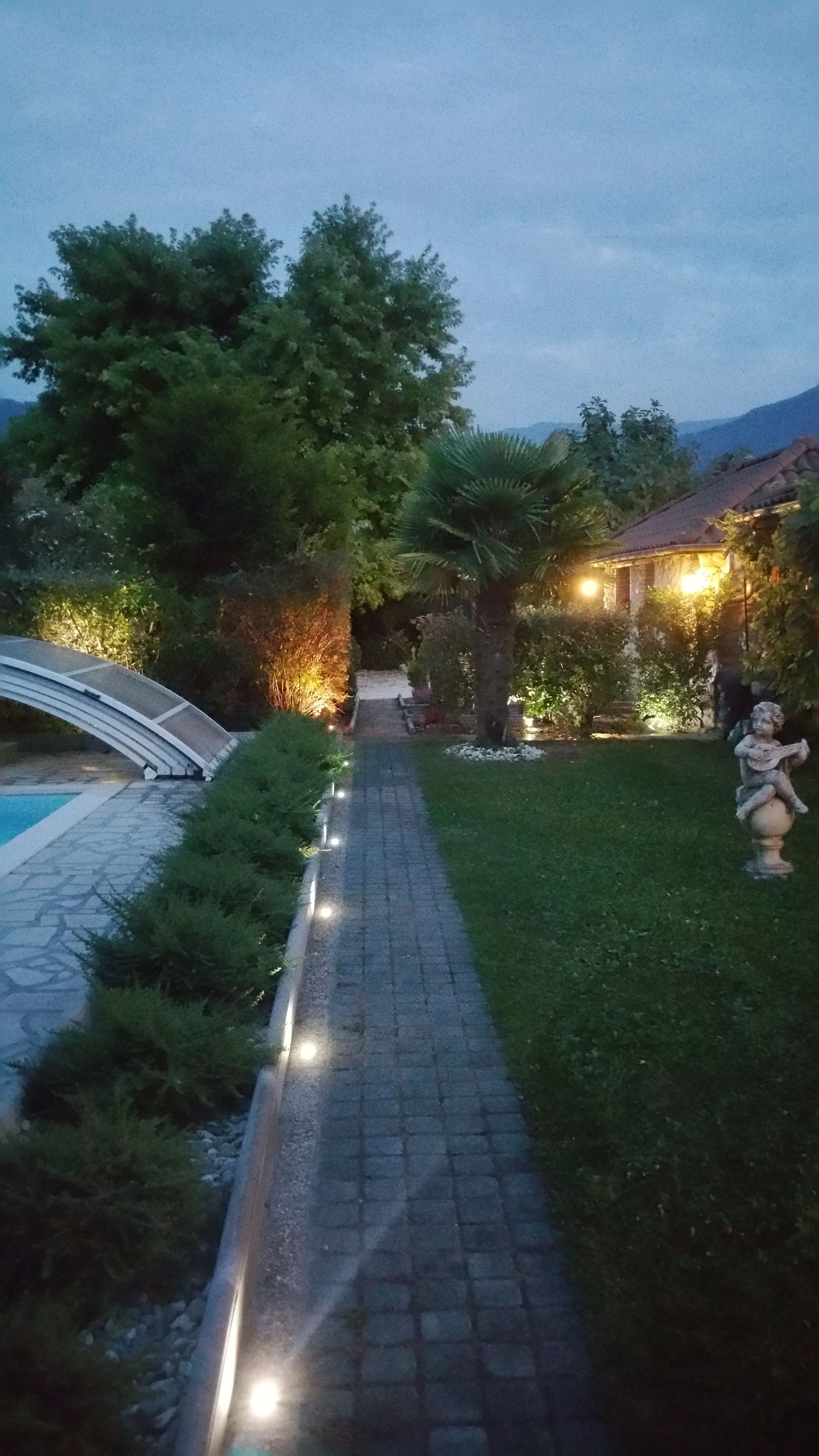 Taman