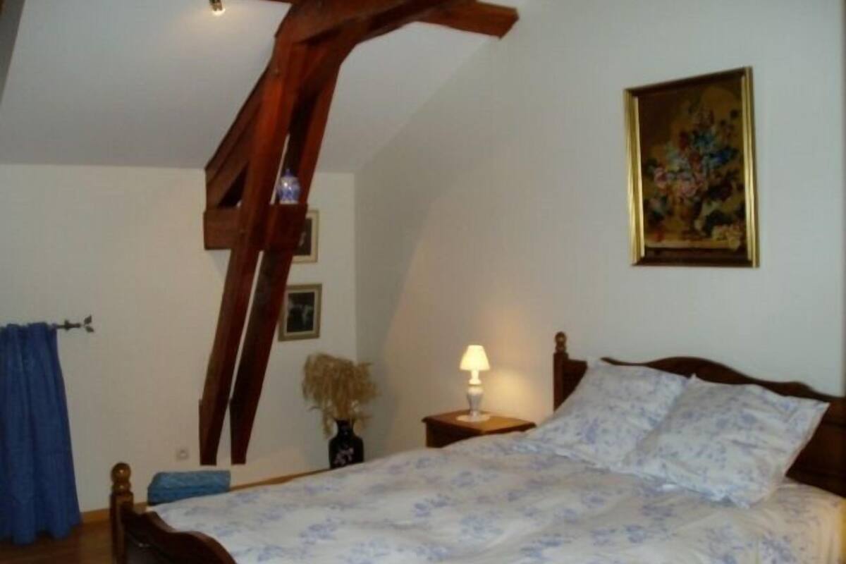 Doppelzimmer (Debussy) | Minibar, Bügeleisen/Bügelbrett, kostenlose Babybetten, Zustellbetten