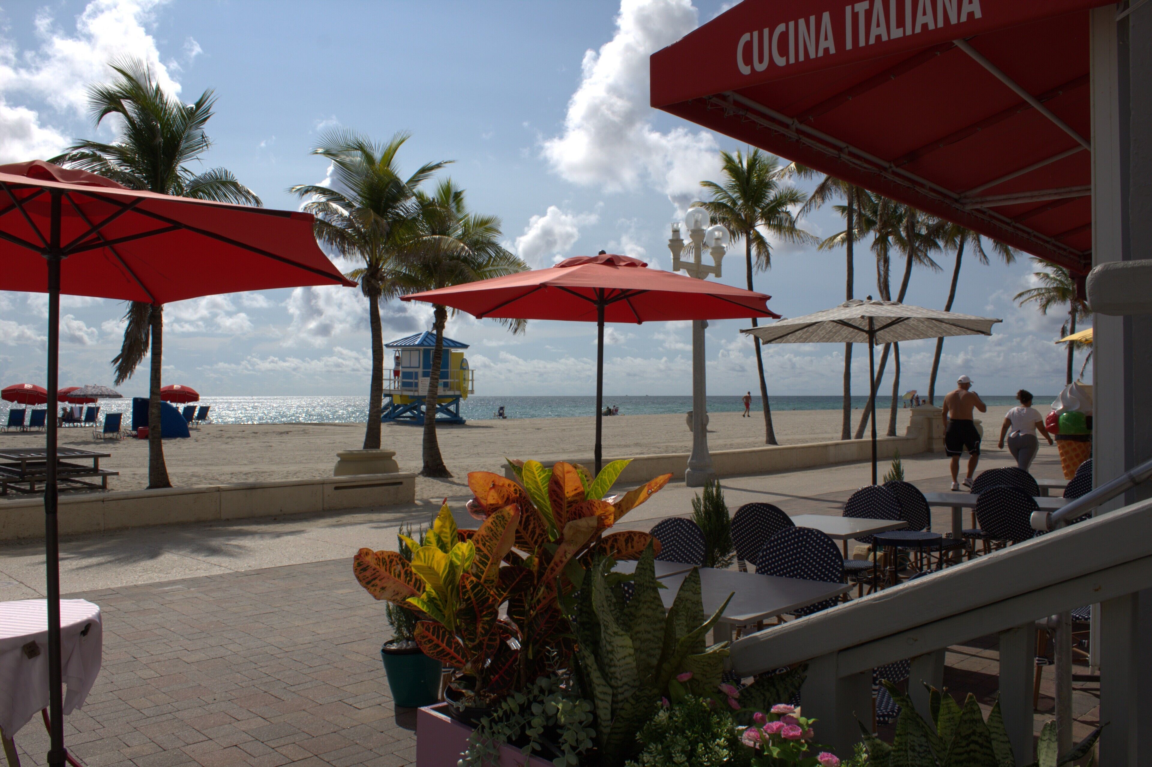Un restaurant situé en bord de mer, avec une terrasse, des palmiers et une vue sur l’océan.