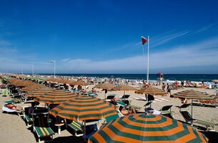 Una playa con hileras de sombrillas a rayas y sillas de playa, un cielo azul despejado y el océano al fondo.