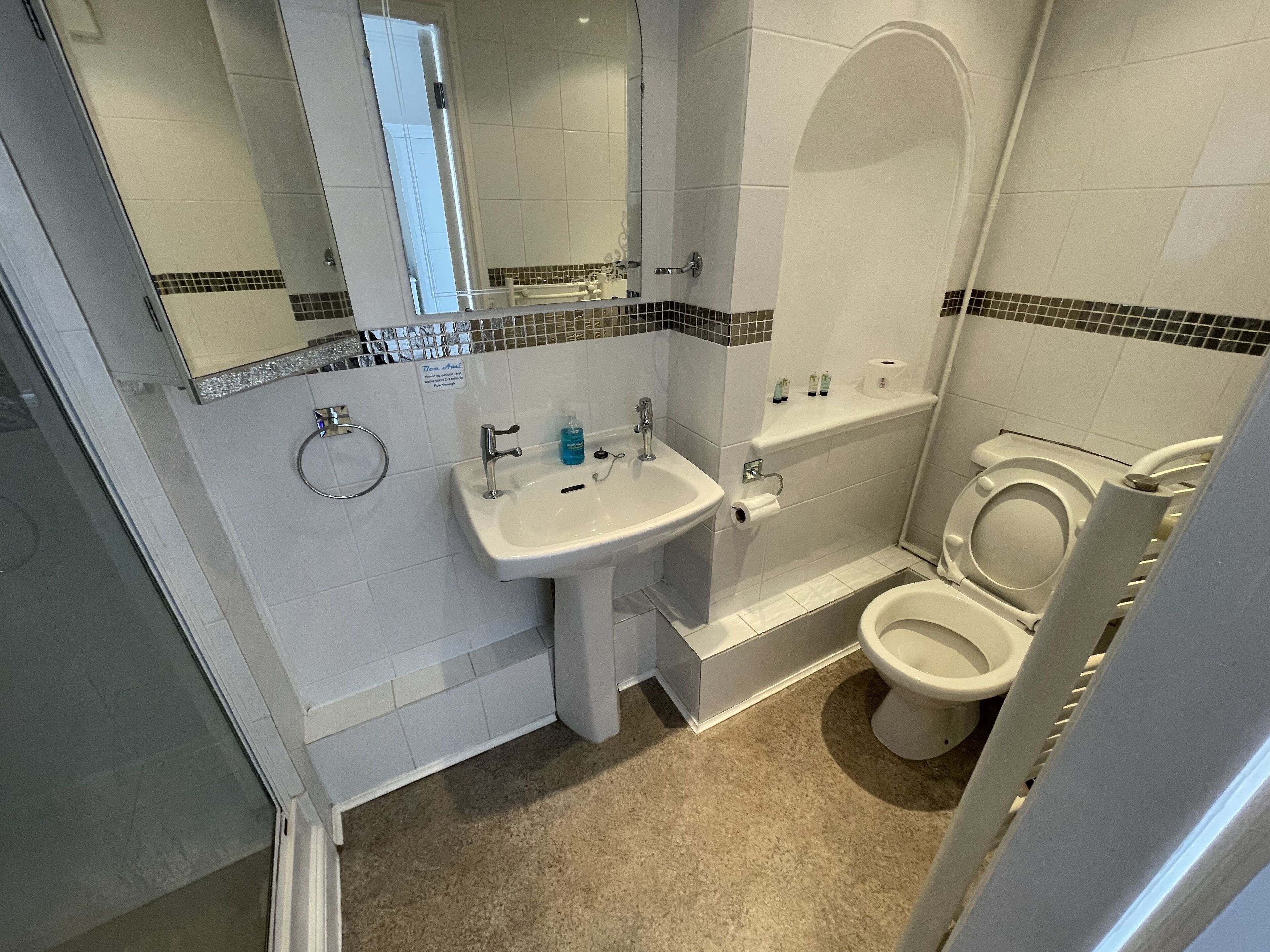 Baño con lavabo, espejo, inodoro y ducha.