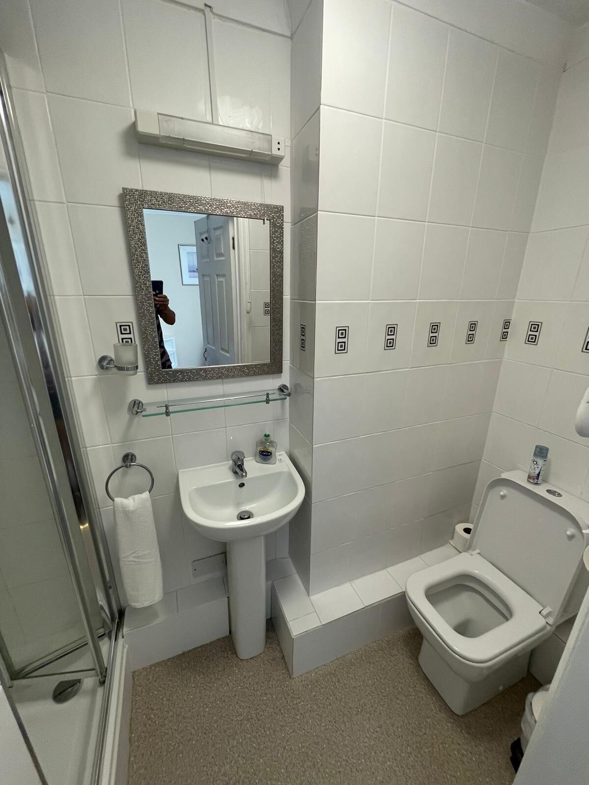 A bathroom with a white sink, a toilet, and a glass shower enclosure.