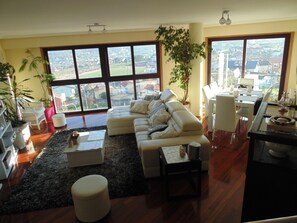 Una Smart TV, un reproductor de DVD, libros, una videoteca