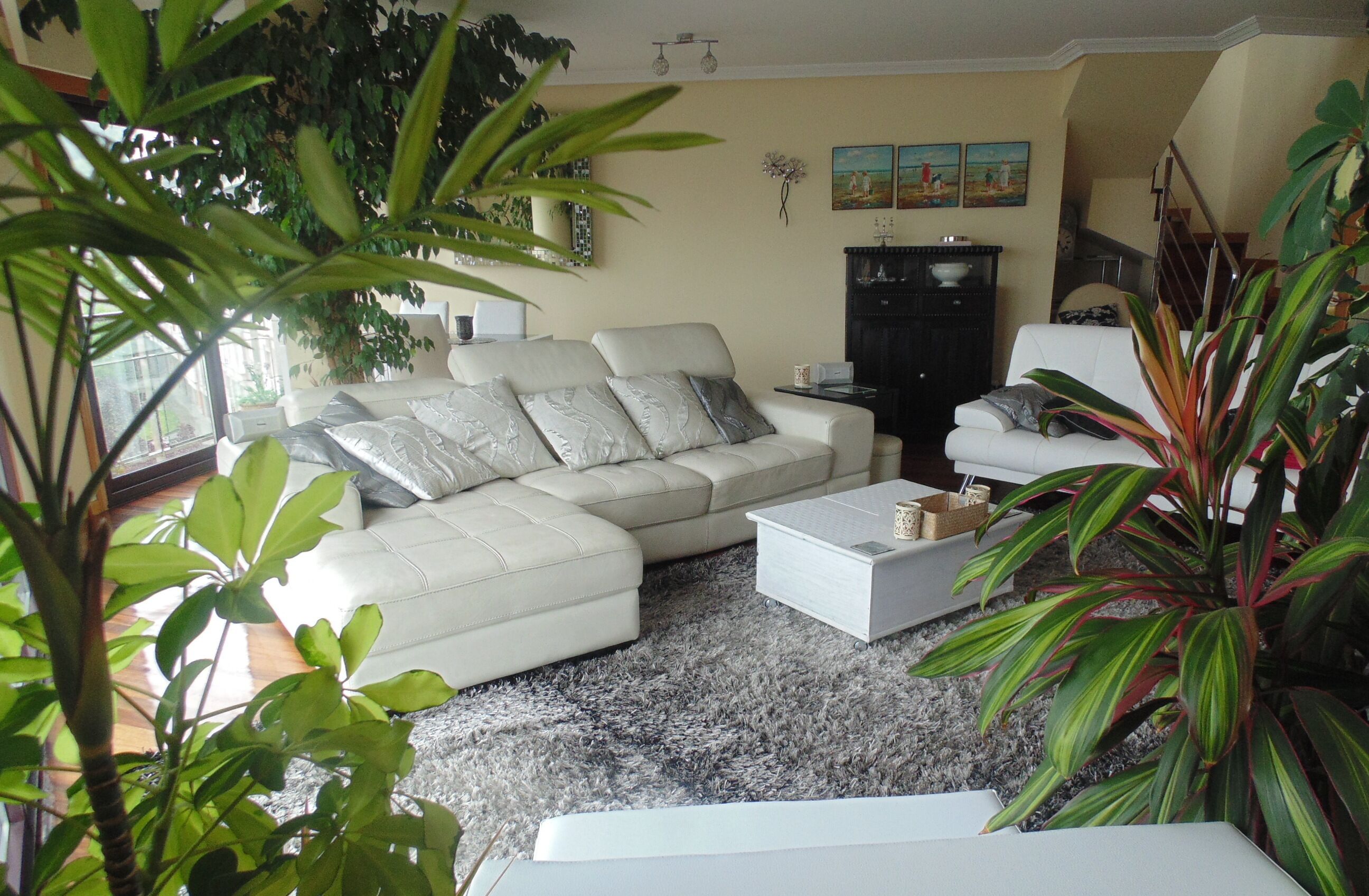 Un salon avec un canapé blanc, une table basse et une bibliothèque. On y trouve des plantes et un tableau accroché au mur.