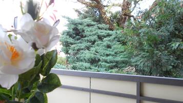 Studio, 1 Double Bed with Sofa bed, Balcony (incl. EUR 25 cleaning fee) | Balcony view